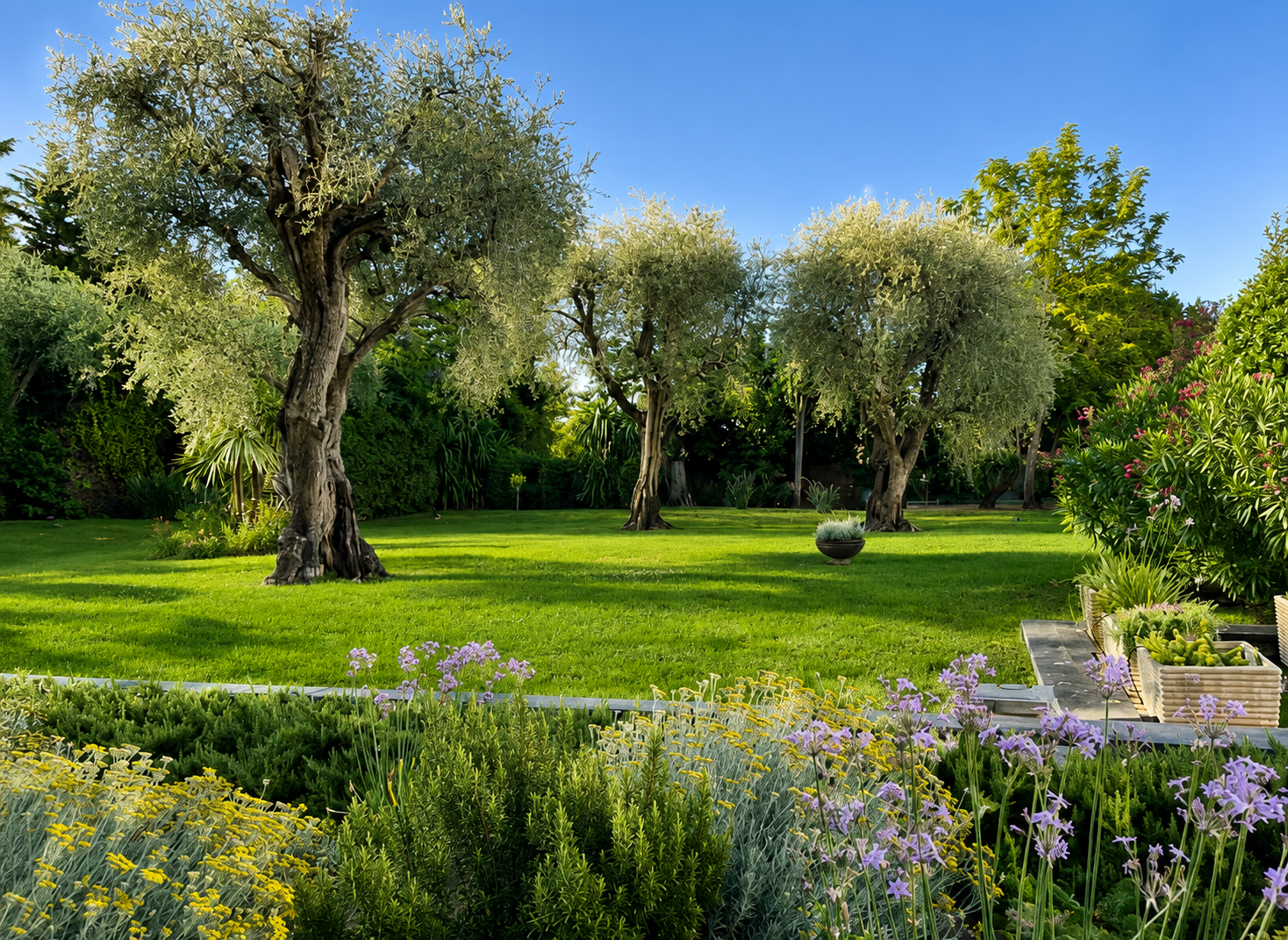 Jardin privatif méditerranéen du Studio Pilates de Cannes